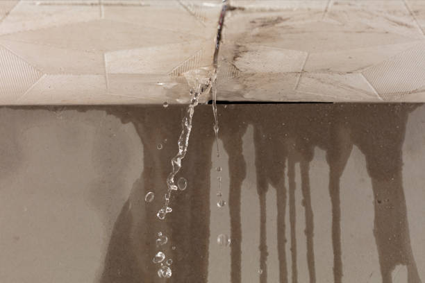 Professional Water Damage Restoration technician working in Clarksville, NY